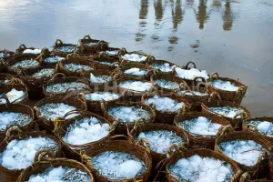 Dampak Logistik Terhadap Kualitas Hasil Tangkapan