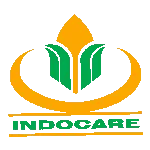 logo indocare