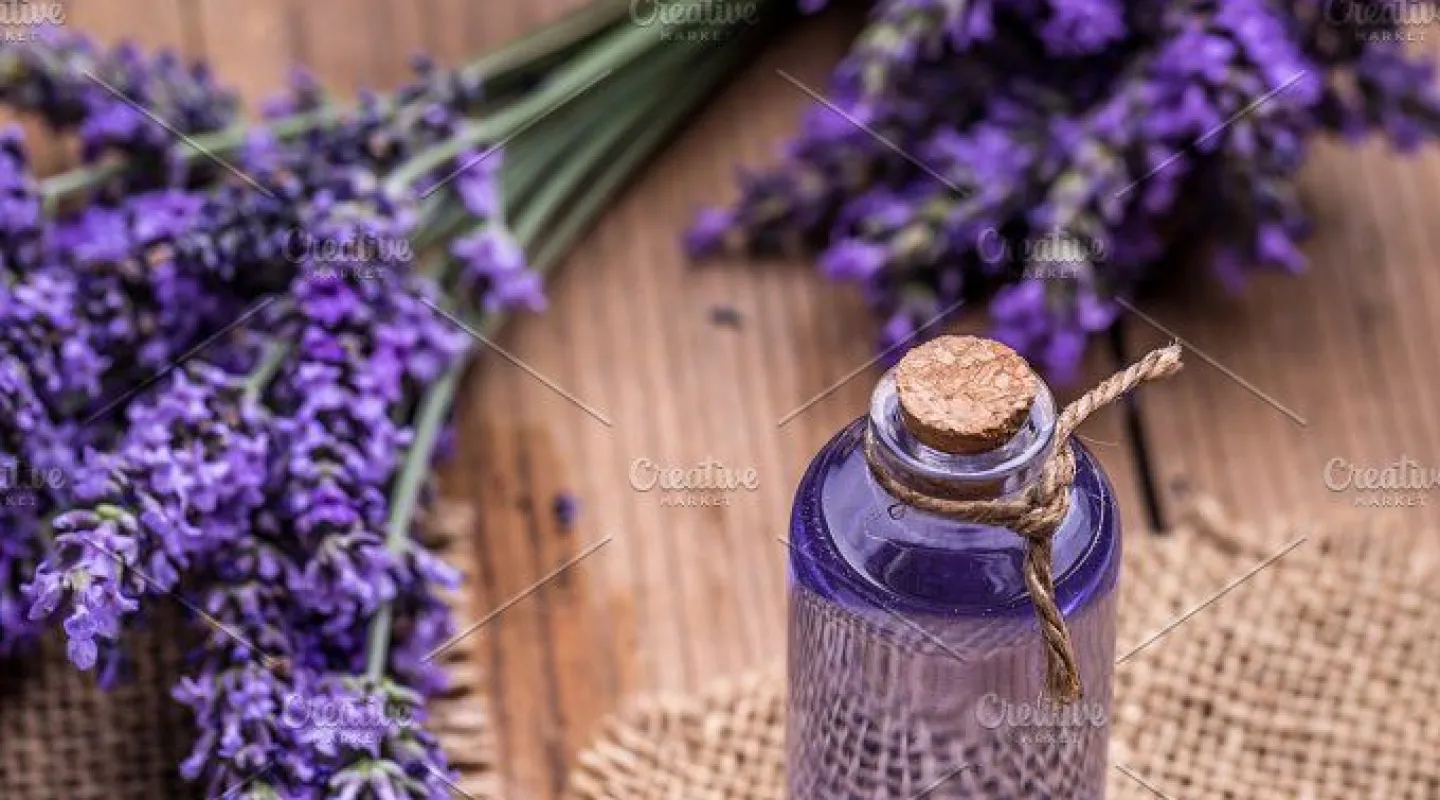 minyak lavender