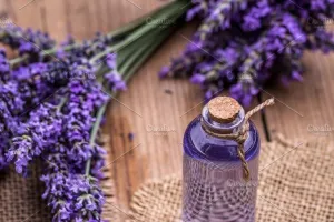 Minyak Lavender Aroma Menenangkan dan Manfaat Kesehatan