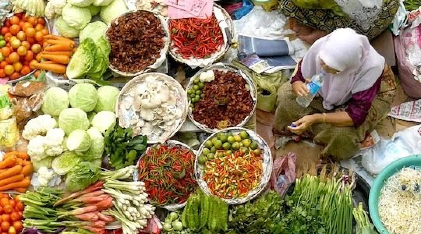 pentingnya distribusi logistik cepat dalam industri pangan