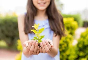 taruna bumi generasi muda yang mencintai dan berdedikasi pada pertanian